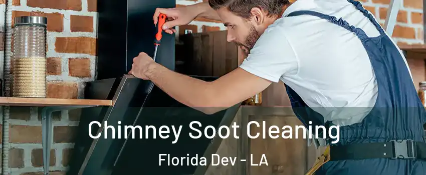 Chimney Soot Cleaning Florida Dev - LA