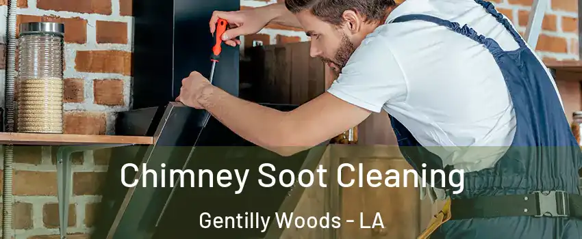 Chimney Soot Cleaning Gentilly Woods - LA