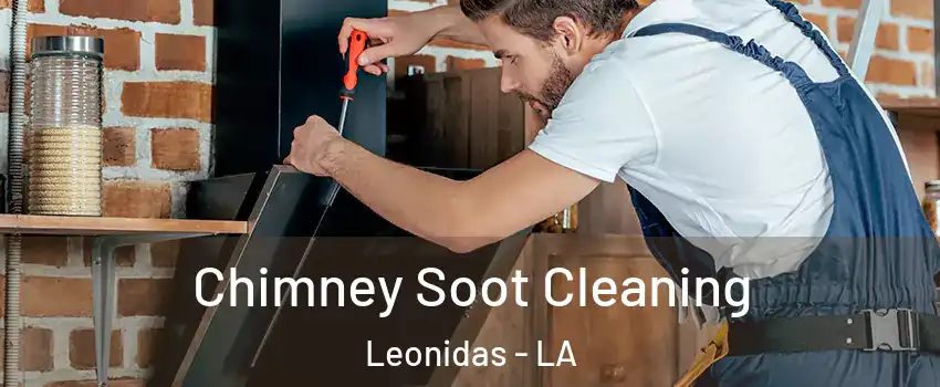 Chimney Soot Cleaning Leonidas - LA