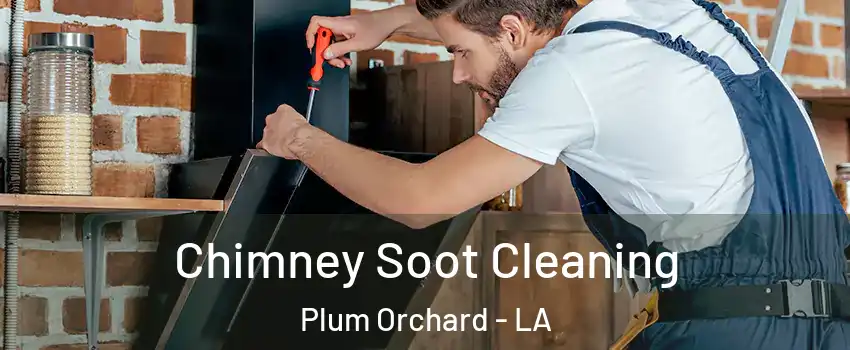 Chimney Soot Cleaning Plum Orchard - LA