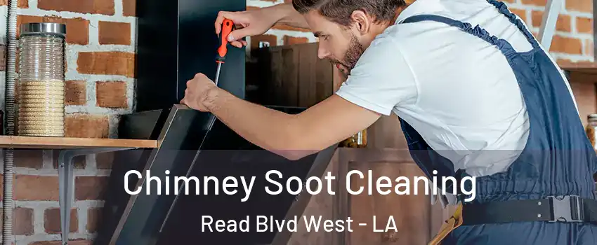 Chimney Soot Cleaning Read Blvd West - LA