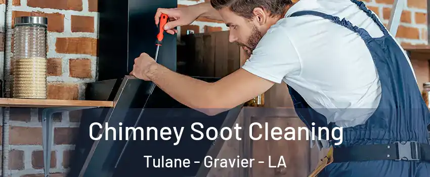 Chimney Soot Cleaning Tulane - Gravier - LA