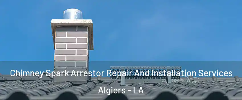 Chimney Spark Arrestor Repair And Installation Services Algiers - LA