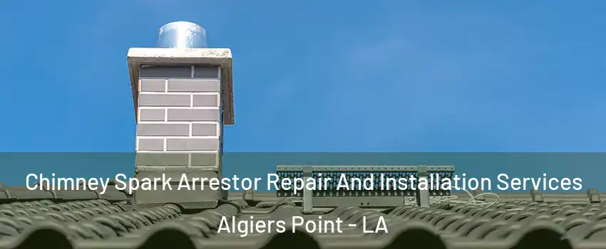 Chimney Spark Arrestor Repair And Installation Services Algiers Point - LA