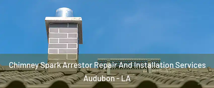 Chimney Spark Arrestor Repair And Installation Services Audubon - LA