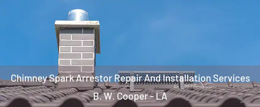 Chimney Spark Arrestor Repair And Installation Services B. W. Cooper - LA