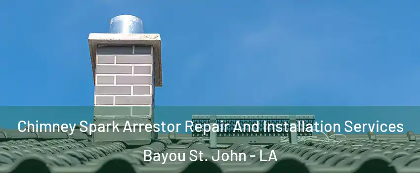 Chimney Spark Arrestor Repair And Installation Services Bayou St. John - LA