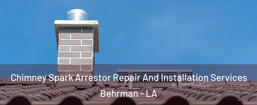 Chimney Spark Arrestor Repair And Installation Services Behrman - LA