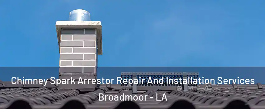 Chimney Spark Arrestor Repair And Installation Services Broadmoor - LA