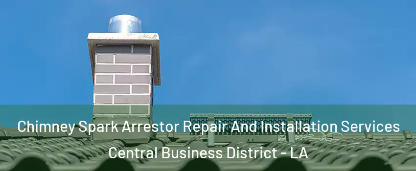 Chimney Spark Arrestor Repair And Installation Services Central Business District - LA