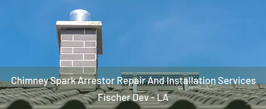 Chimney Spark Arrestor Repair And Installation Services Fischer Dev - LA