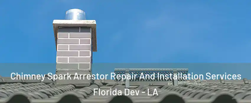 Chimney Spark Arrestor Repair And Installation Services Florida Dev - LA