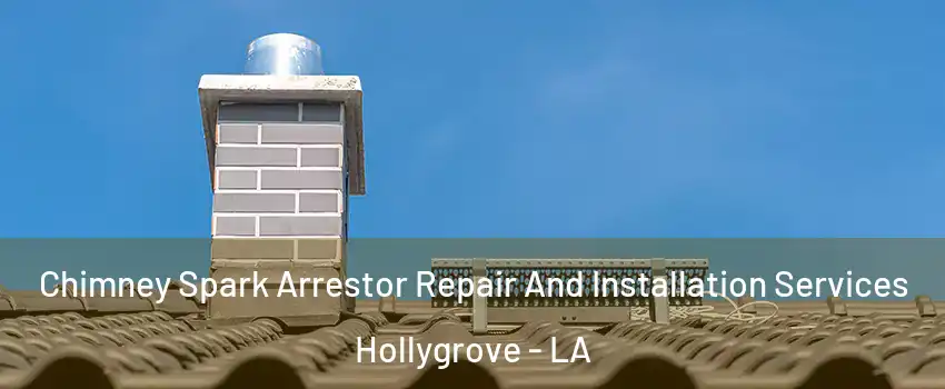 Chimney Spark Arrestor Repair And Installation Services Hollygrove - LA