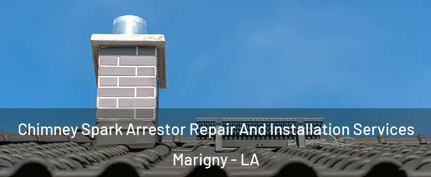 Chimney Spark Arrestor Repair And Installation Services Marigny - LA