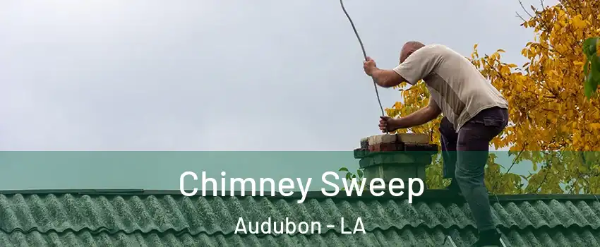 Chimney Sweep Audubon - LA