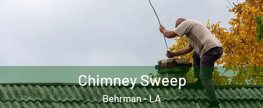 Chimney Sweep Behrman - LA