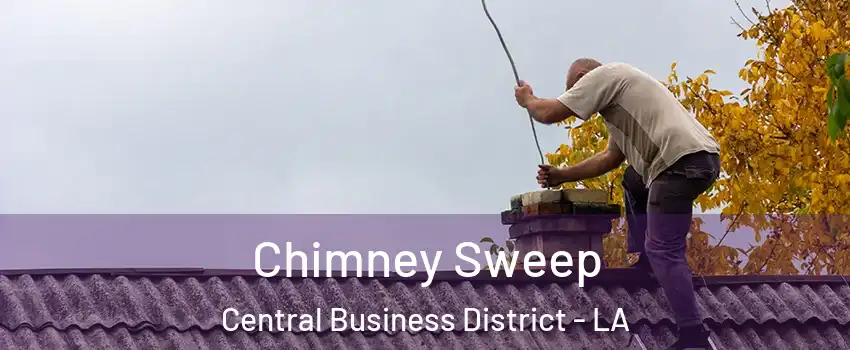 Chimney Sweep Central Business District - LA