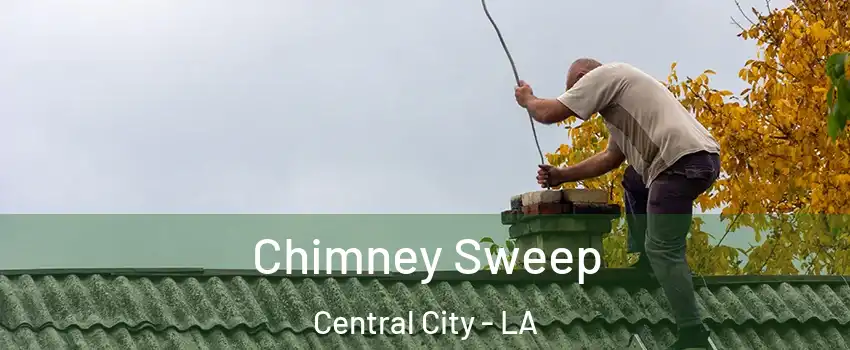 Chimney Sweep Central City - LA