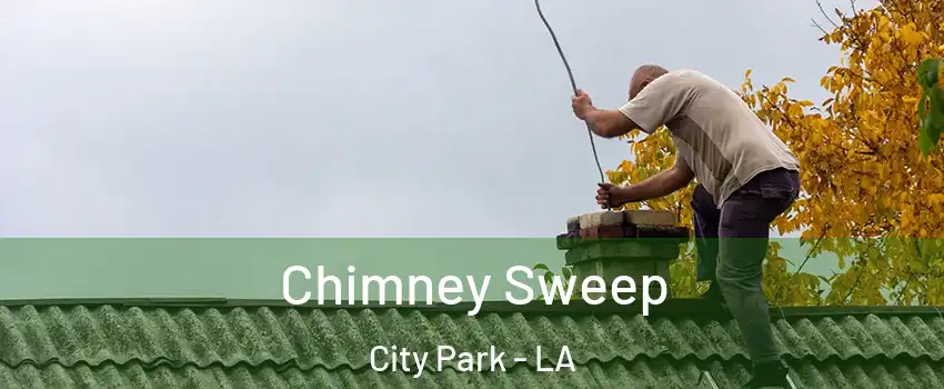 Chimney Sweep City Park - LA