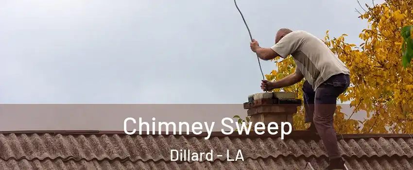 Chimney Sweep Dillard - LA