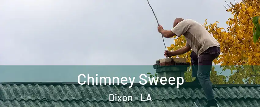 Chimney Sweep Dixon - LA