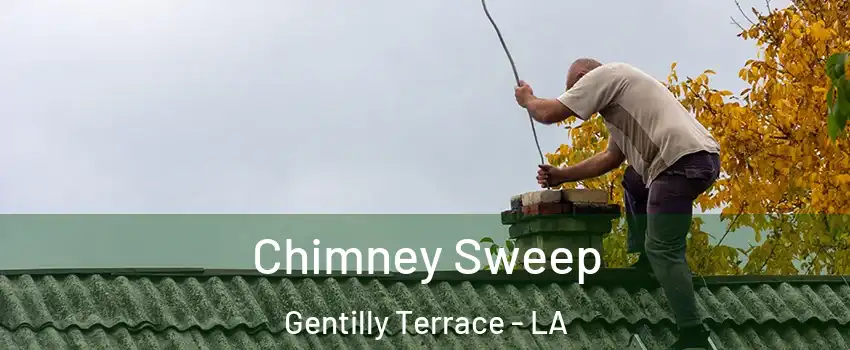 Chimney Sweep Gentilly Terrace - LA