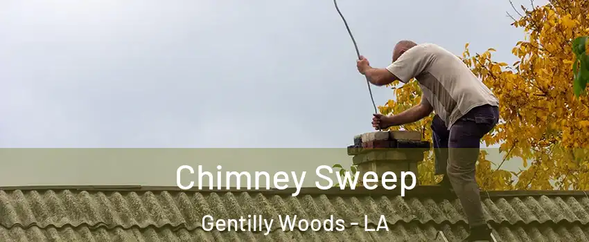 Chimney Sweep Gentilly Woods - LA