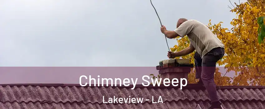 Chimney Sweep Lakeview - LA