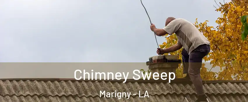 Chimney Sweep Marigny - LA