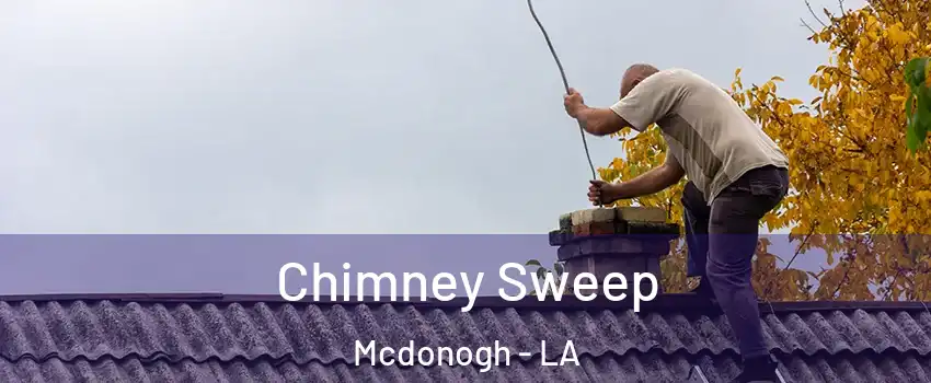 Chimney Sweep Mcdonogh - LA