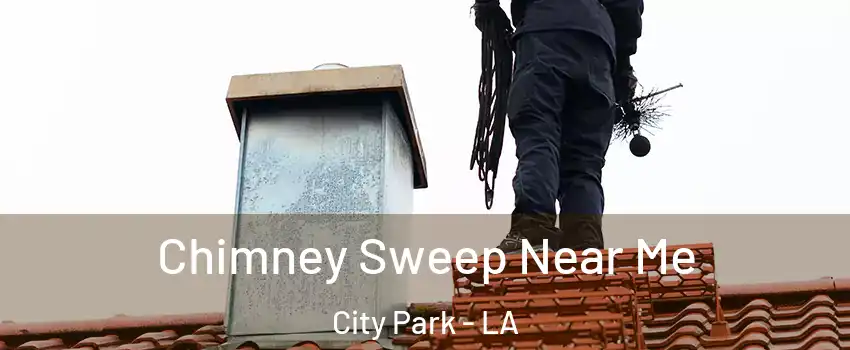 Chimney Sweep Near Me City Park - LA