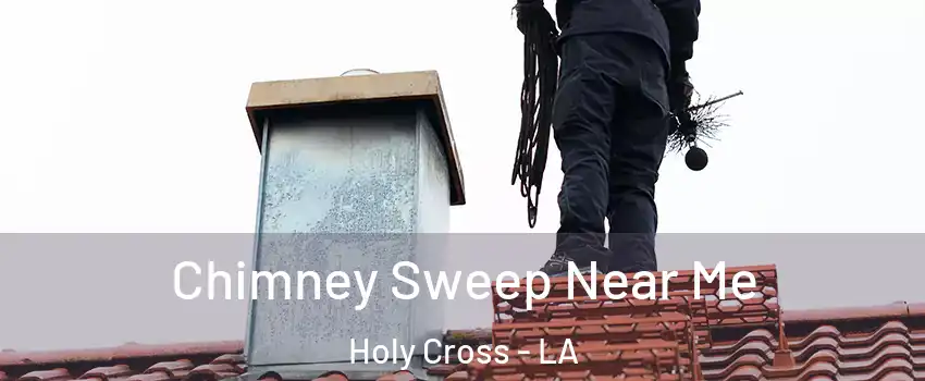 Chimney Sweep Near Me Holy Cross - LA