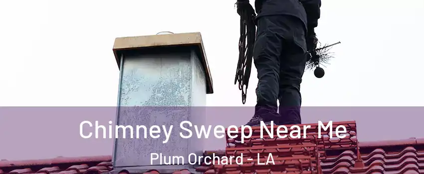 Chimney Sweep Near Me Plum Orchard - LA