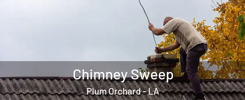 Chimney Sweep Plum Orchard - LA