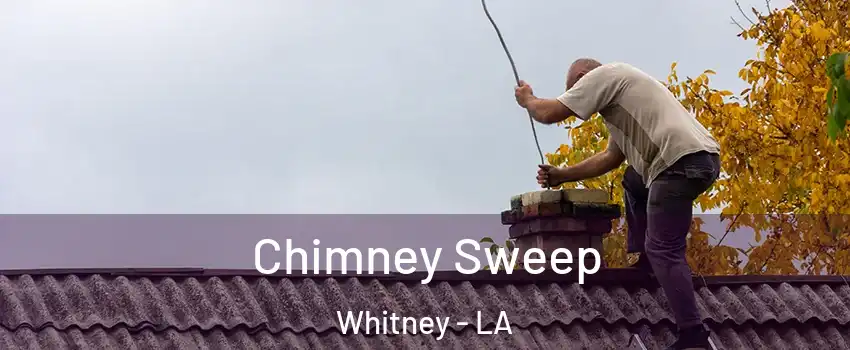 Chimney Sweep Whitney - LA