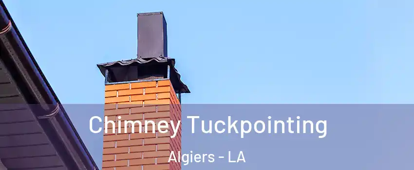 Chimney Tuckpointing Algiers - LA