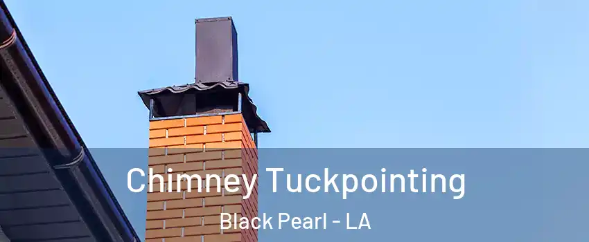 Chimney Tuckpointing Black Pearl - LA