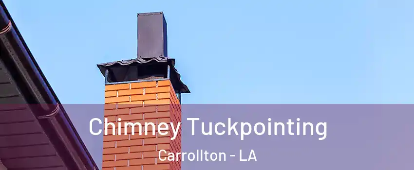 Chimney Tuckpointing Carrollton - LA