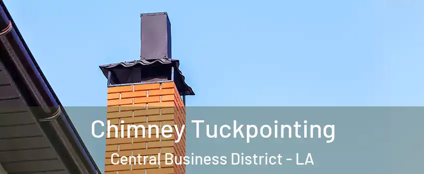 Chimney Tuckpointing Central Business District - LA