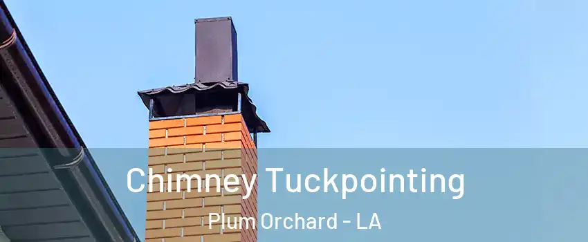 Chimney Tuckpointing Plum Orchard - LA