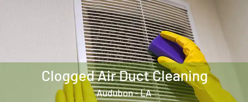 Clogged Air Duct Cleaning Audubon - LA