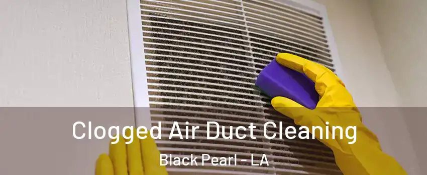 Clogged Air Duct Cleaning Black Pearl - LA