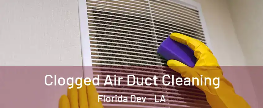 Clogged Air Duct Cleaning Florida Dev - LA