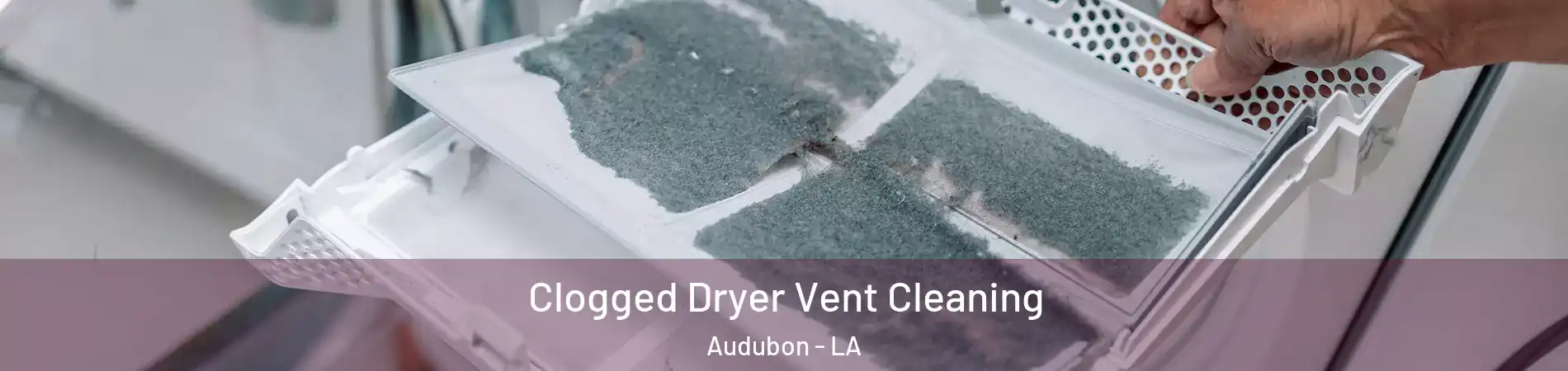 Clogged Dryer Vent Cleaning Audubon - LA