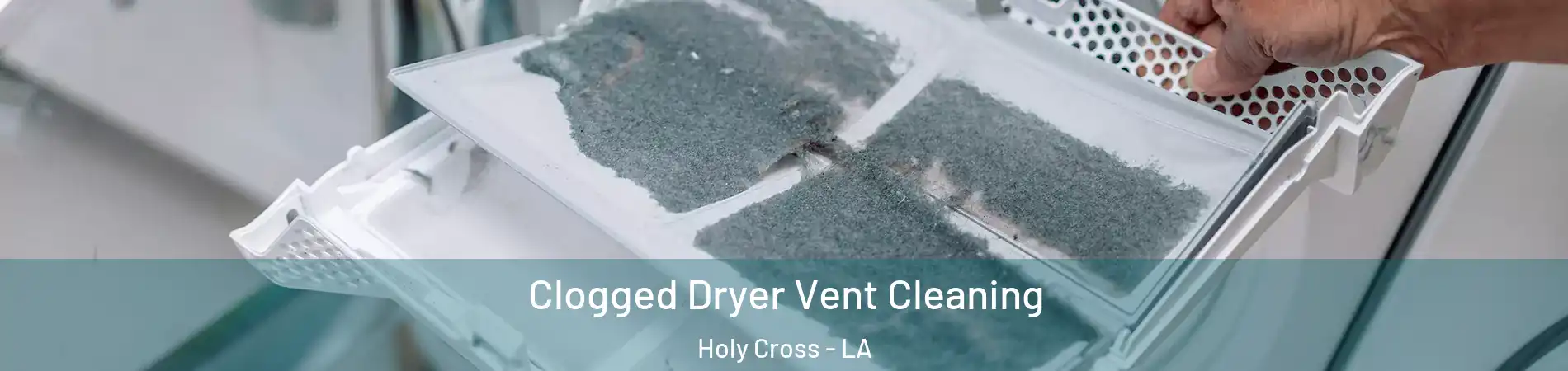 Clogged Dryer Vent Cleaning Holy Cross - LA