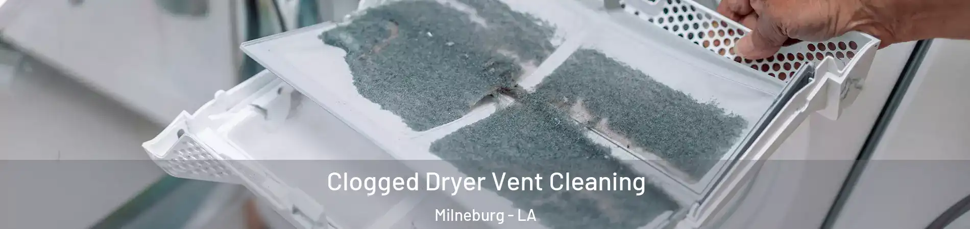 Clogged Dryer Vent Cleaning Milneburg - LA