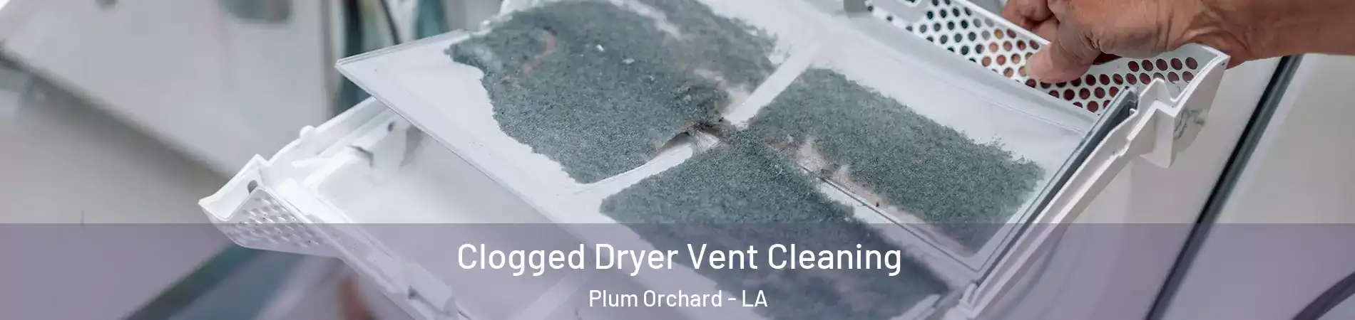 Clogged Dryer Vent Cleaning Plum Orchard - LA