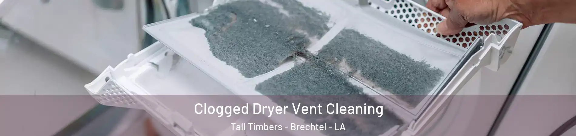 Clogged Dryer Vent Cleaning Tall Timbers - Brechtel - LA