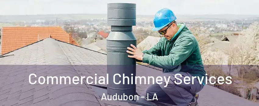 Commercial Chimney Services Audubon - LA