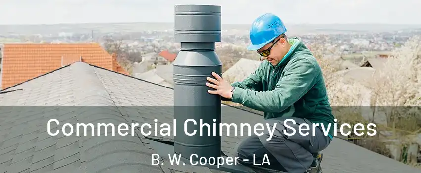 Commercial Chimney Services B. W. Cooper - LA